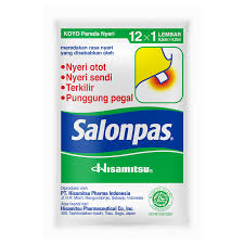 SALONPAS PER PIECE
